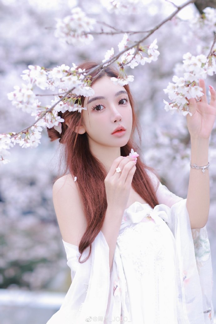 黑暗荣耀 封面