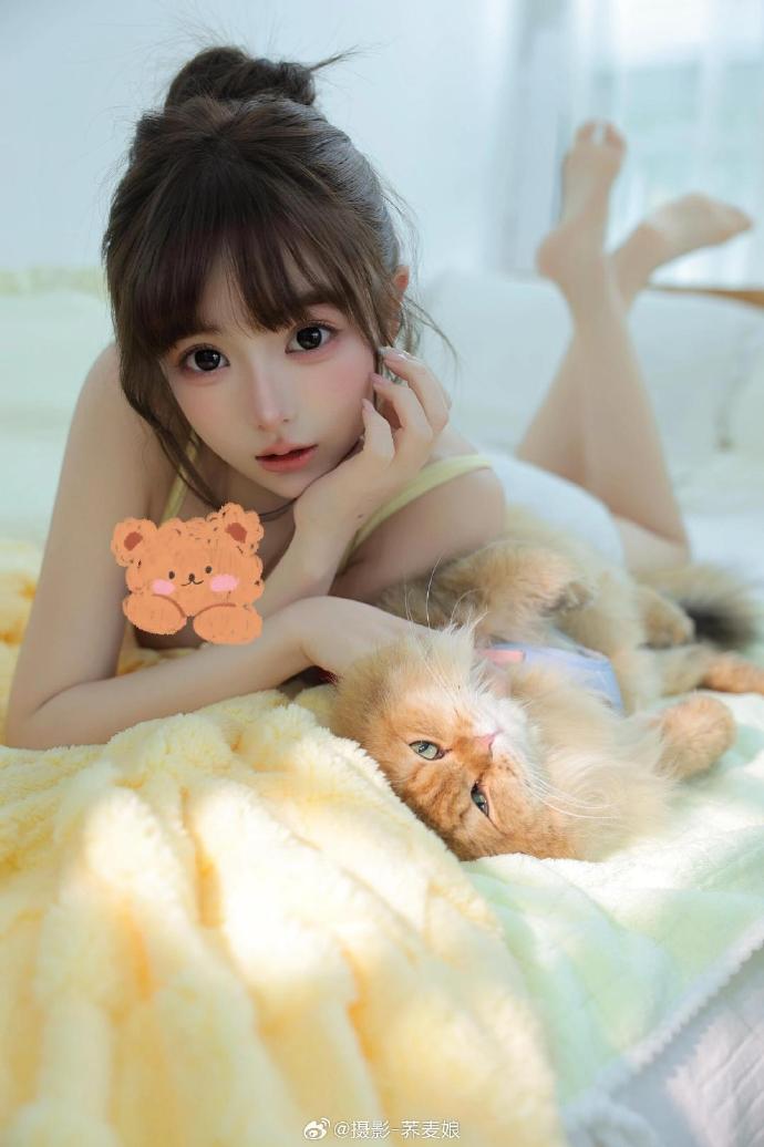 夜鹰 封面